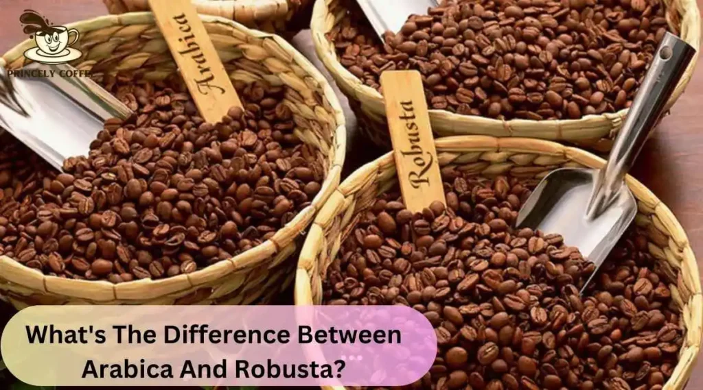 What's The Difference Between Arabica And Robusta